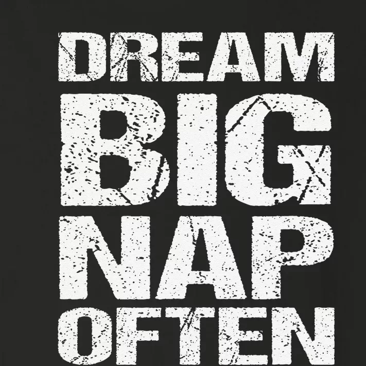 Dream Big Nap Of Ten Toddler Long Sleeve Shirt