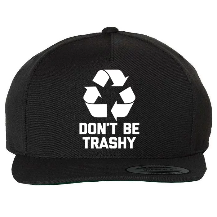 Dont Be Trashy Gift Funny Saying Sarcastic Green Recycle Funny Gift Wool Snapback Cap