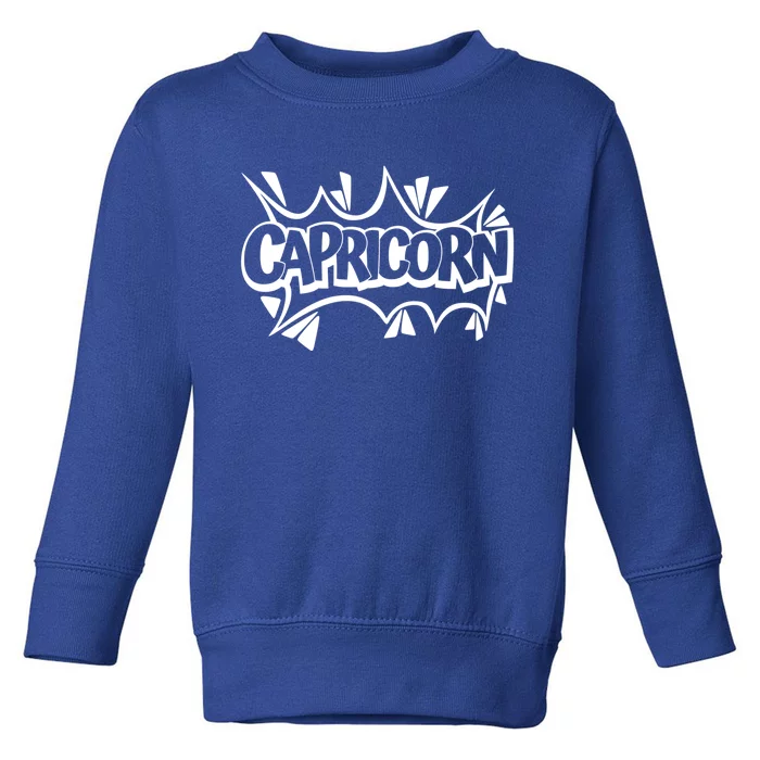 December Birthday Zodiac Sign Astrology Capricorn Gift Toddler Sweatshirt