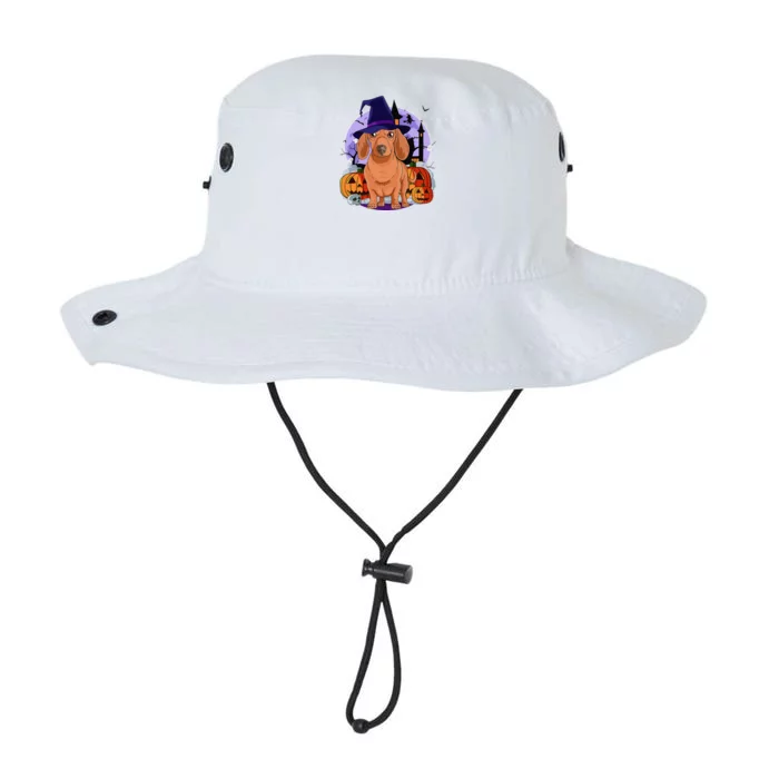 Dachshund Cute Dog Halloween Witch Pumpkin Legacy Cool Fit Booney Bucket Hat