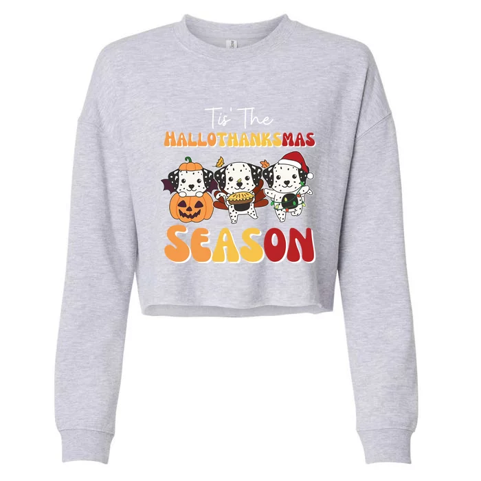 Dalmatian Christmas Halloween Tis The Hallothanksmas Cool Gift Cropped Pullover Crew