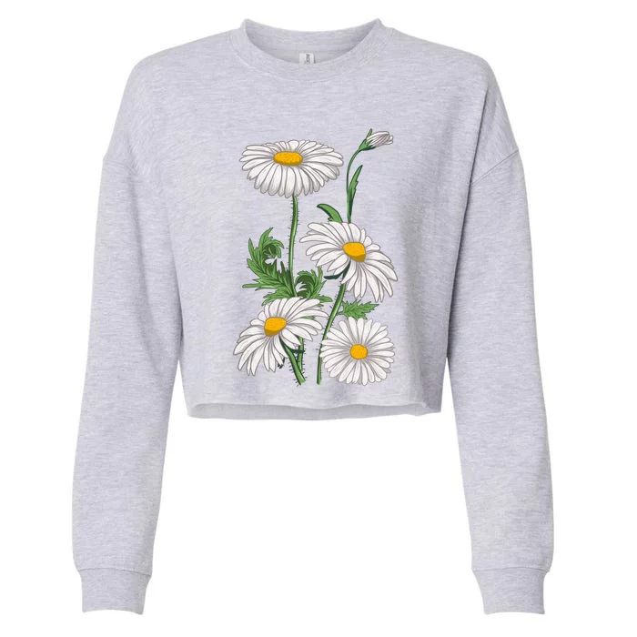 Daisies Chamomile Marguerites Bouquet Vintage Daisy Flower Funny Gift Cropped Pullover Crew