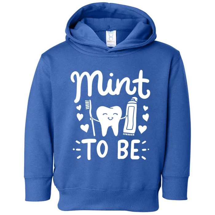 Dentist Dental Assistant Valentines Day Gift Toddler Hoodie