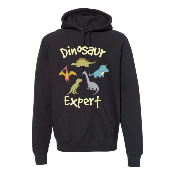 Dinosaur Dinosaur Expert Premium Hoodie