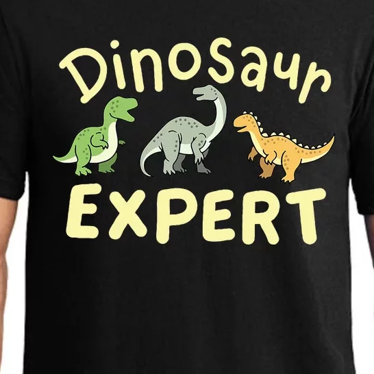 Dinosaur Dinosaurs Expert Paleontologist Pajama Set