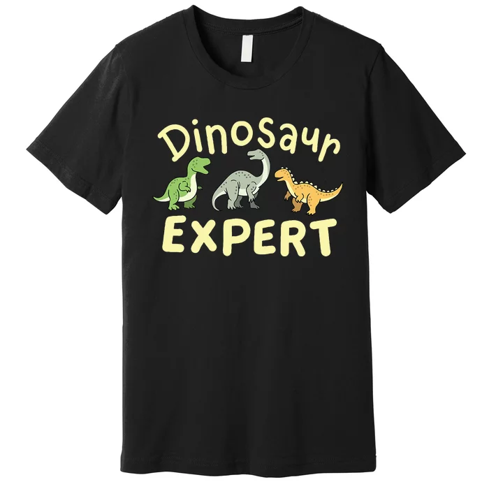 Dinosaur Dinosaurs Expert Paleontologist Premium T-Shirt