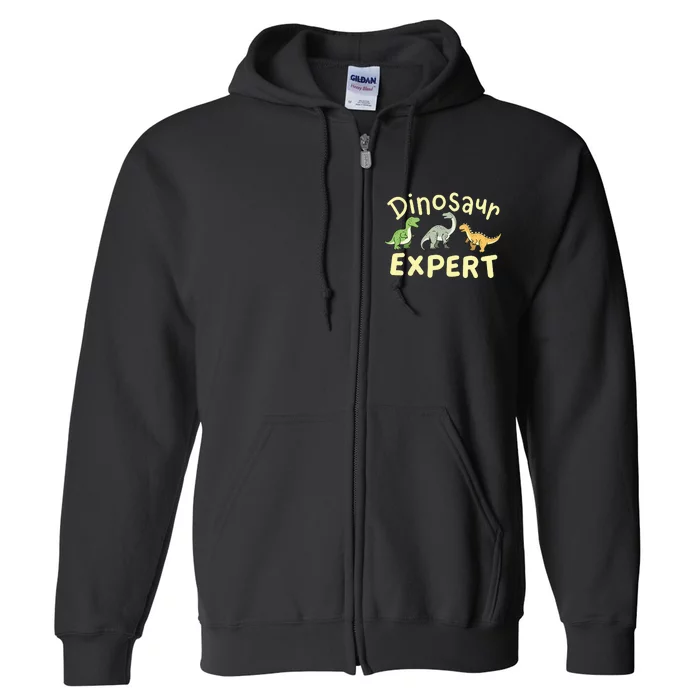 Dinosaur Dinosaurs Expert Paleontologist Full Zip Hoodie