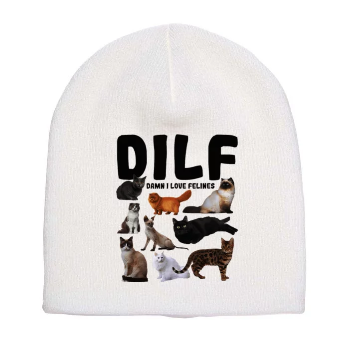 Dilf Damn I Love Felines Funny Cat Kitty Lover Short Acrylic Beanie