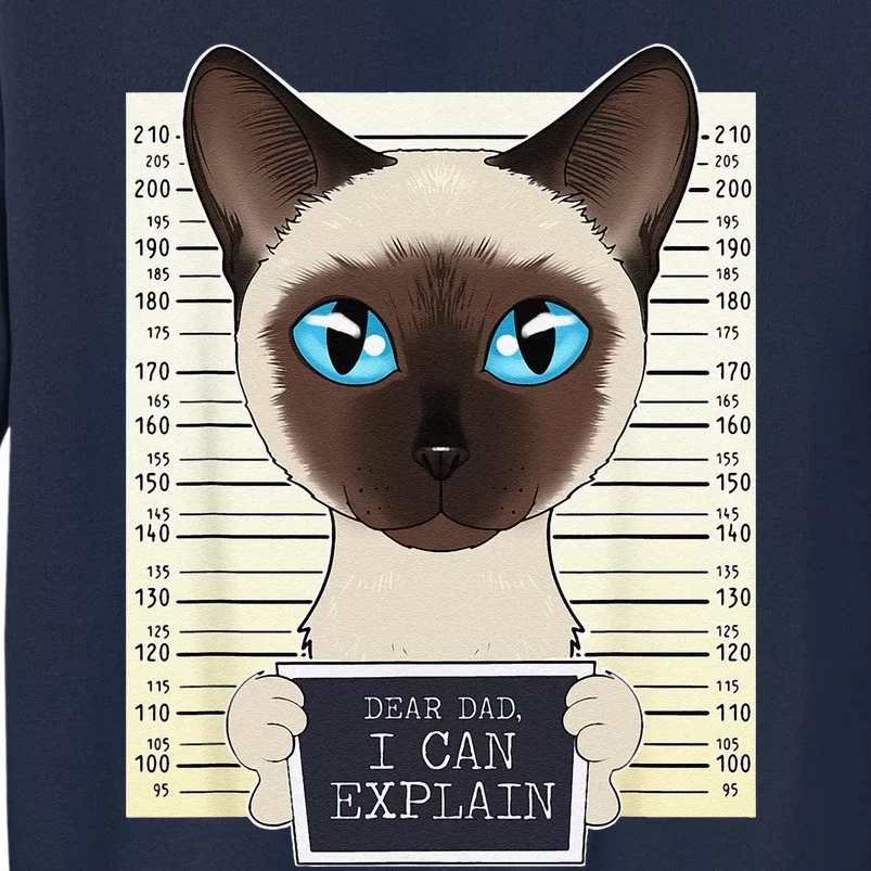 Dear Dad I Can Explain I Siamese Cat Dad I Siamese Cat Tall Sweatshirt