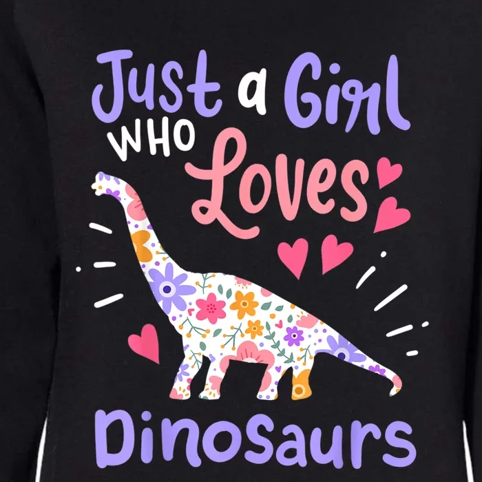 Dinosaur Dinosaur Just A Girl Who Loves Dinosaur Womens California Wash Sweatshirt