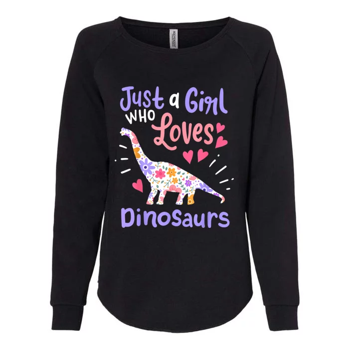 Dinosaur Dinosaur Just A Girl Who Loves Dinosaur Womens California Wash Sweatshirt