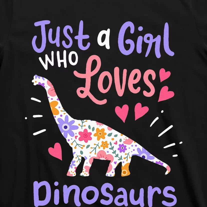 Dinosaur Dino Just a Who Loves Dinosaurs T-Shirt