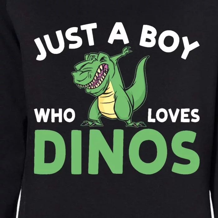 Dinosaur Dino Just A Boy Who Loves Dinos Womens California Wash Sweatshirt