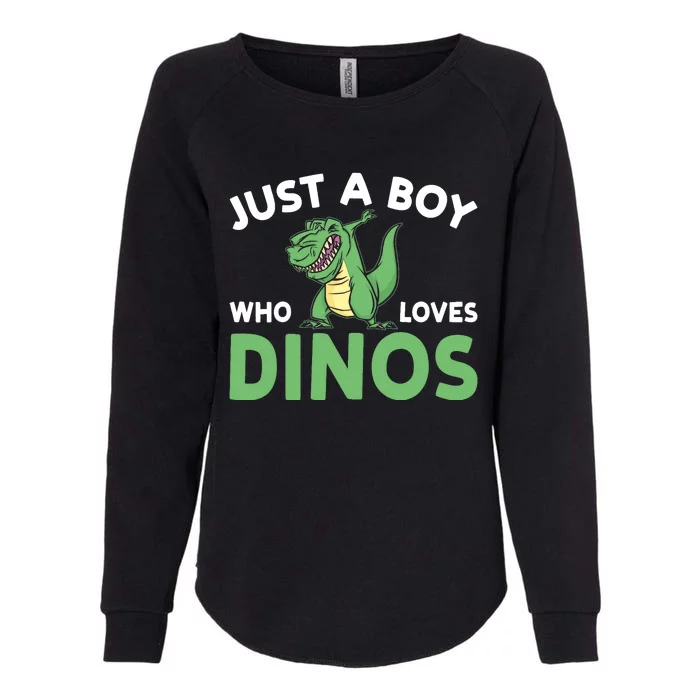 Dinosaur Dino Just A Boy Who Loves Dinos Womens California Wash Sweatshirt