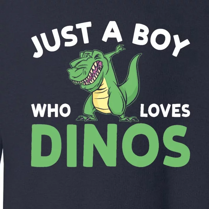 Dinosaur Dino Just A Boy Who Loves Dinos Toddler Sweatshirt