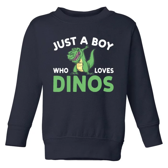 Dinosaur Dino Just A Boy Who Loves Dinos Toddler Sweatshirt