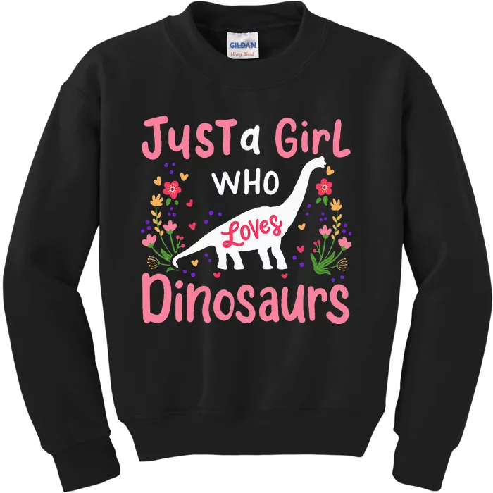 Dinosaur Dino Just a Who Loves Dinosaurs Kids Sweatshirt