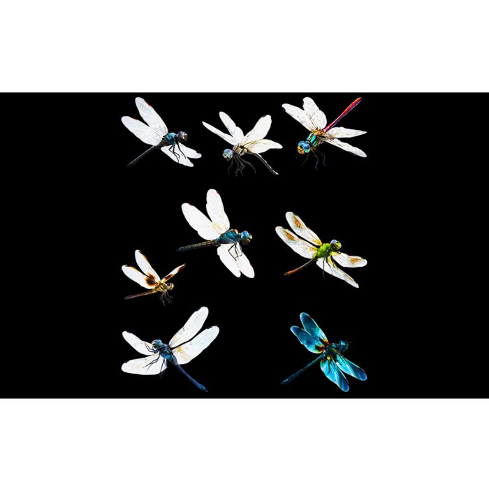 Dragonfly Dragonflies Natural Mosquito Repellent Biting Bugs Bumper Sticker