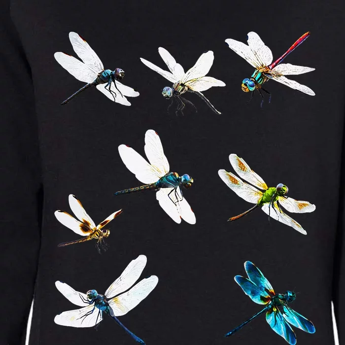 Dragonfly Dragonflies Natural Mosquito Repellent Biting Bugs Womens California Wash Sweatshirt