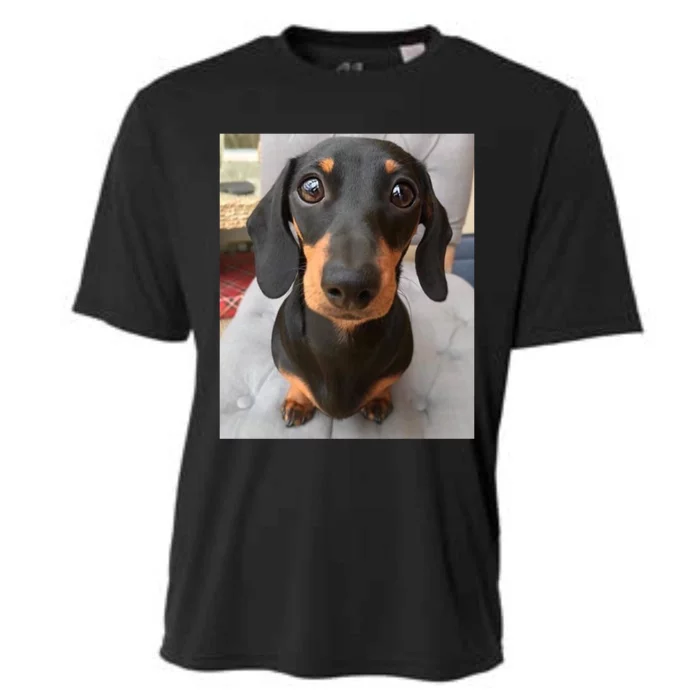 Dachshund Dog Photo Portrait Sweet Puppy Cooling Performance Crew T-Shirt