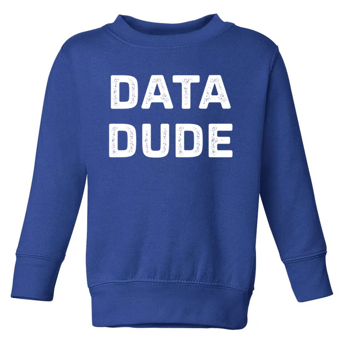 Data Dude Vintage Style Gift Toddler Sweatshirt