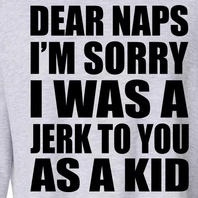 Dear Naps I'm Sorry I Was A Jerk Too You As A Kid Cropped Pullover Crew