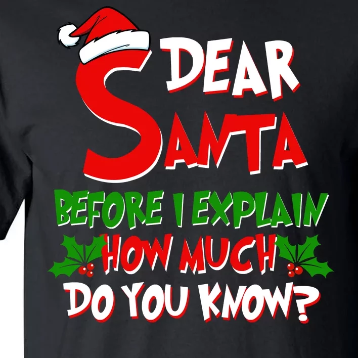 Dear Santa Before I Explain How Much Do You know Tall T-Shirt