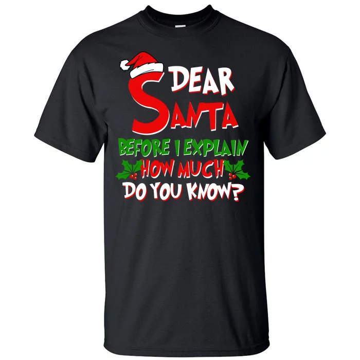 Dear Santa Before I Explain How Much Do You know Tall T-Shirt