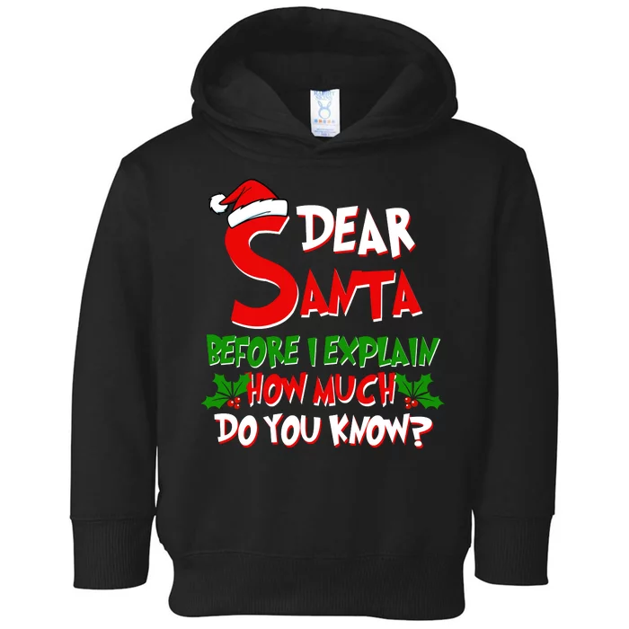 Dear Santa Before I Explain How Much Do You know Toddler Hoodie