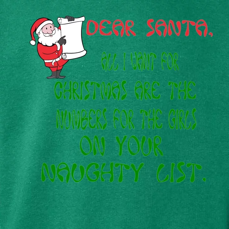 Dear Santa Naughty List Girls Numbers Funny Toddler Hoodie