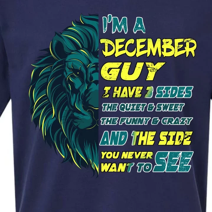 December Birthday Guy Has 3 Sides Sweet Funny Crazy Sueded Cloud Jersey T-Shirt