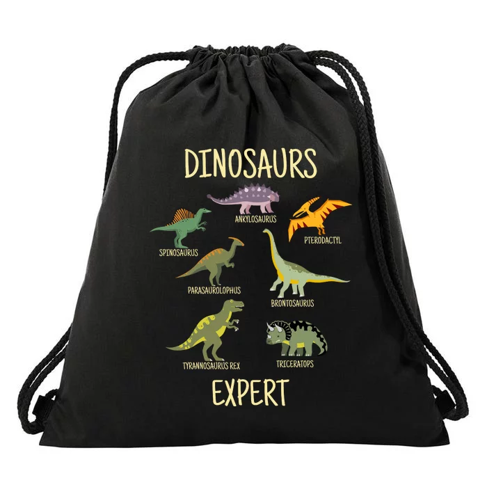 DINOSAURS EXPERT Drawstring Bag