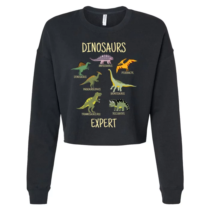 DINOSAURS EXPERT Cropped Pullover Crew