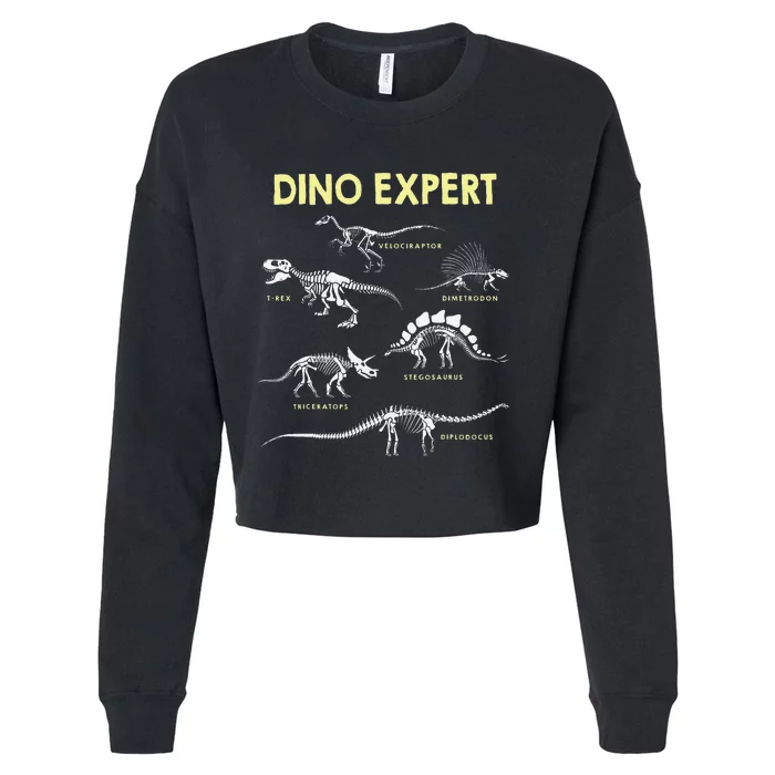 Dino Expert Future Paleontologist Dinosaur Fossil Bones Cropped Pullover Crew