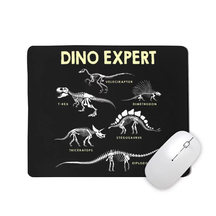 Dino Expert Future Paleontologist Dinosaur Fossil Bones Mousepad