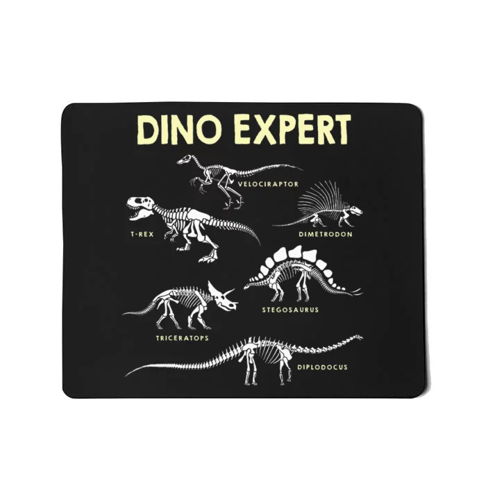 Dino Expert Future Paleontologist Dinosaur Fossil Bones Mousepad