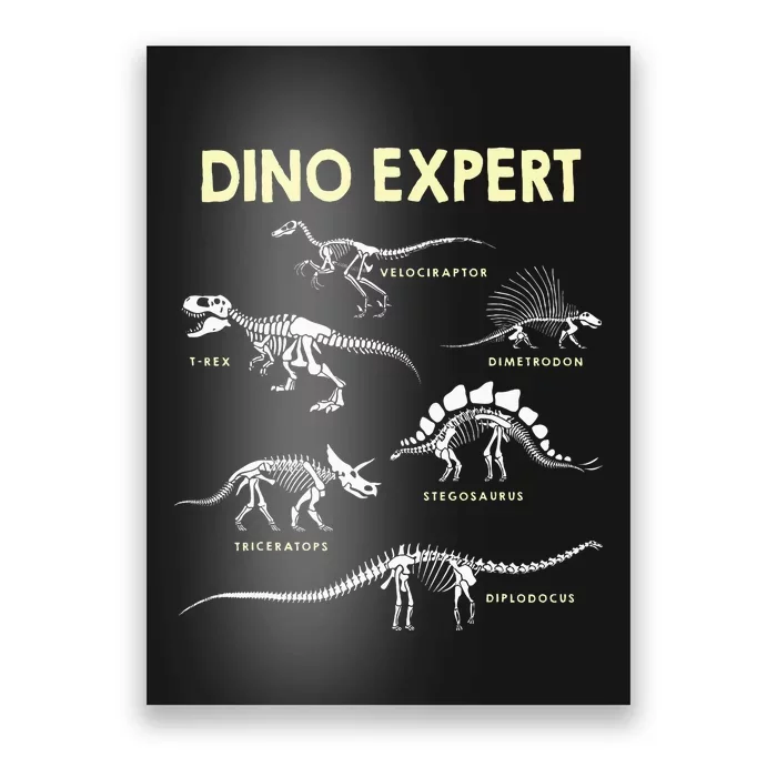 Dino Expert Future Paleontologist Dinosaur Fossil Bones Poster