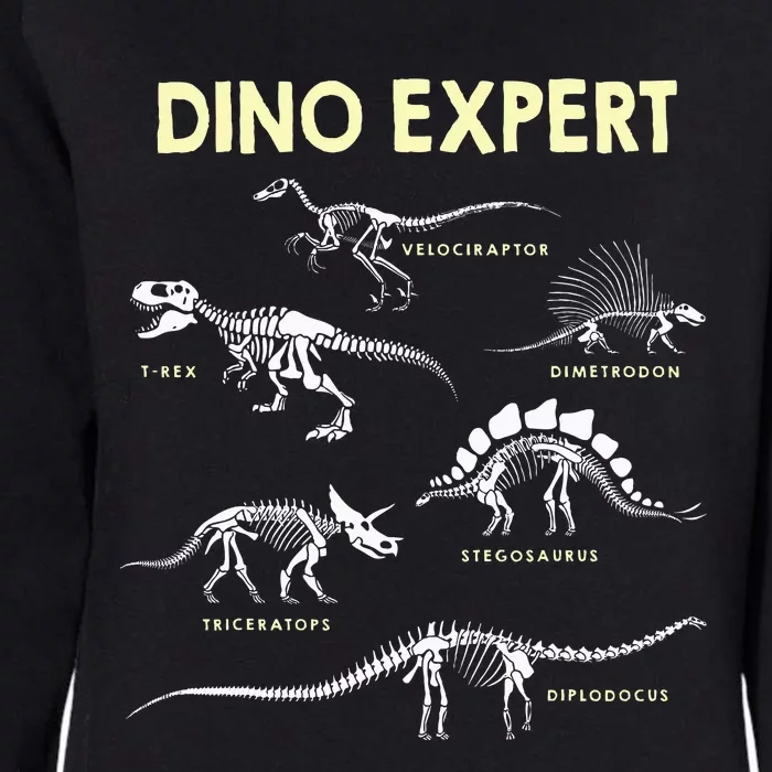 Dino Expert Future Paleontologist Dinosaur Fossil Bones Womens California Wash Sweatshirt