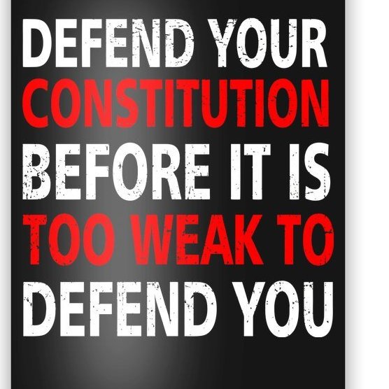 Defend Your Constitution Poster