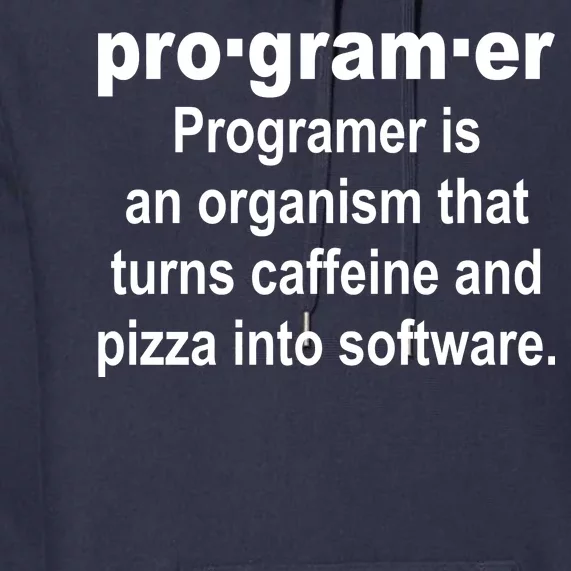 Definition of A Programmer Premium Hoodie