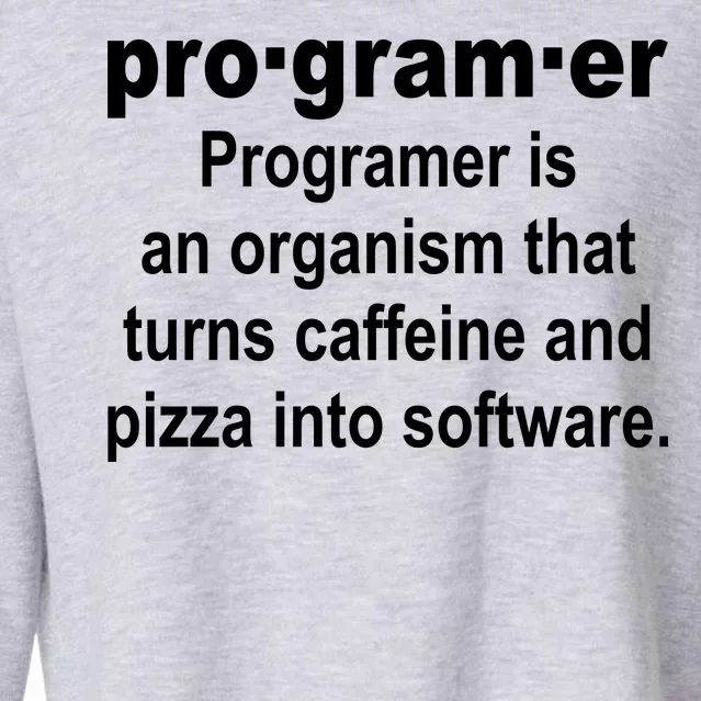 Definition of A Programmer Cropped Pullover Crew