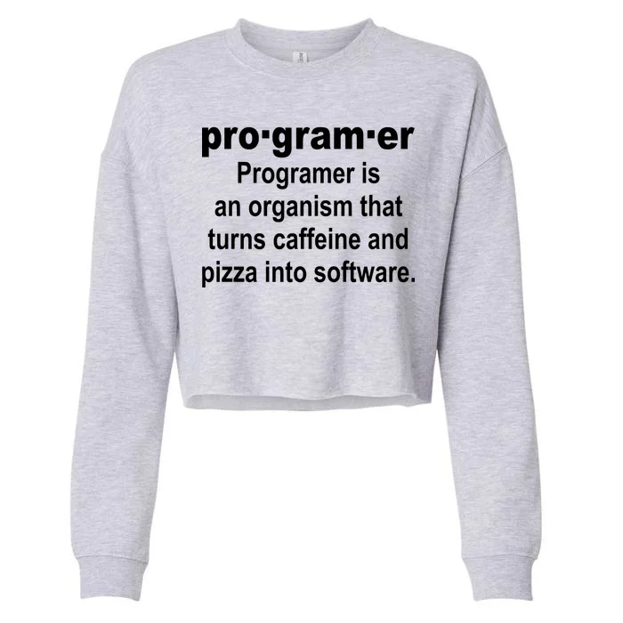 Definition of A Programmer Cropped Pullover Crew