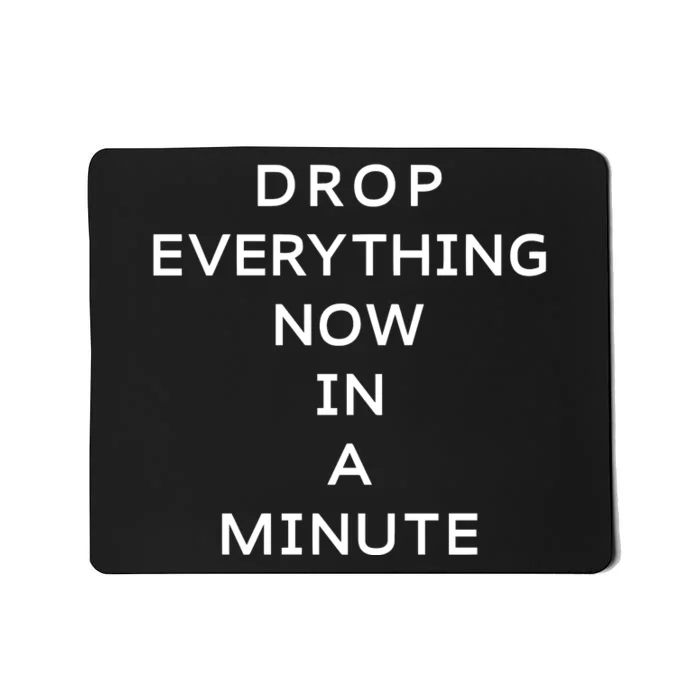 Drop Everything Now In A Minute Mousepad