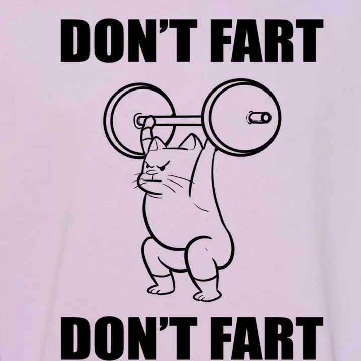 Don't Fart Humorous Person Gift Garment-Dyed Sweatshirt