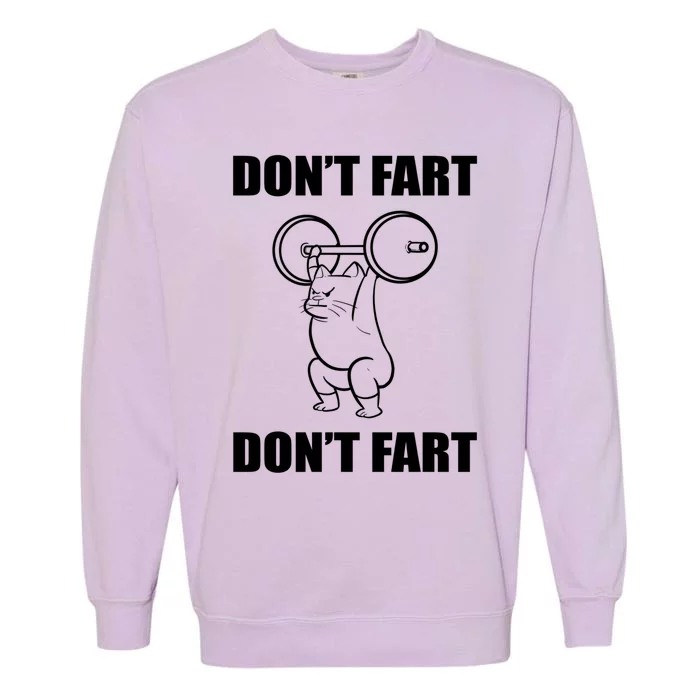 Don't Fart Humorous Person Gift Garment-Dyed Sweatshirt