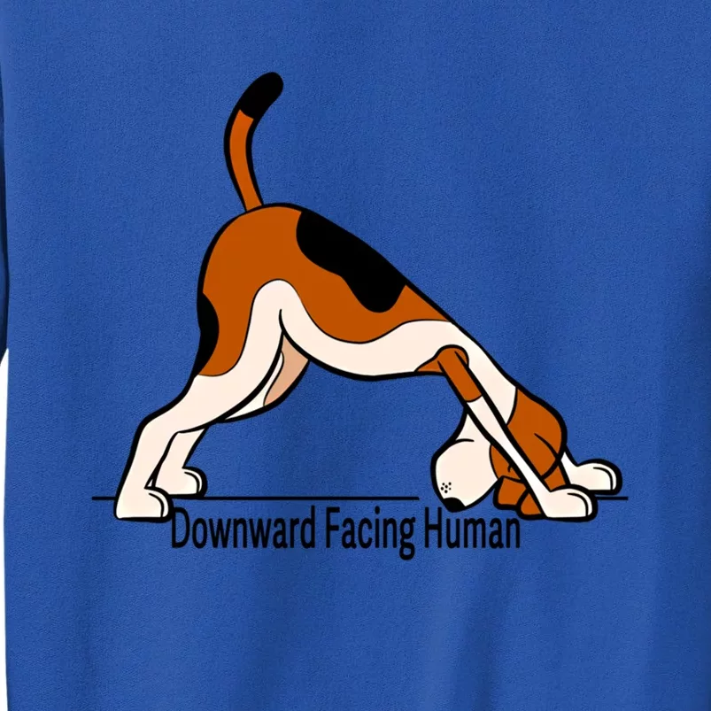 Downward Facing Hu Meaningful Gift Funny Dog Yoga Funny Gift Tall Sweatshirt