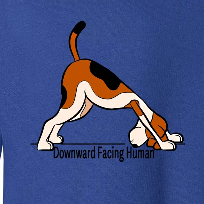 Downward Facing Hu Meaningful Gift Funny Dog Yoga Funny Gift Toddler Sweatshirt