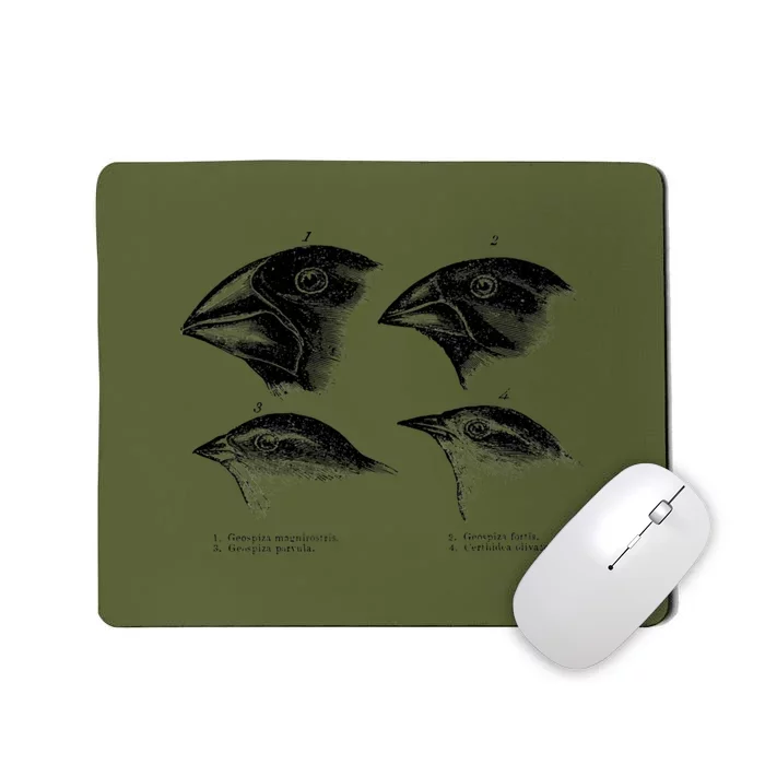 DarwinS Finches Illustration Evolution Atheist Mousepad