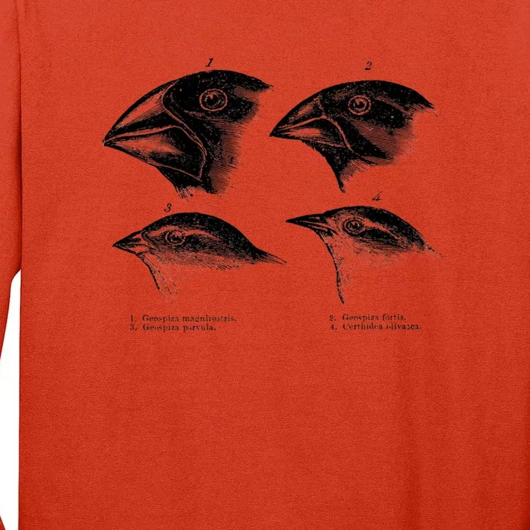 DarwinS Finches Illustration Evolution Atheist Tall Long Sleeve T-Shirt