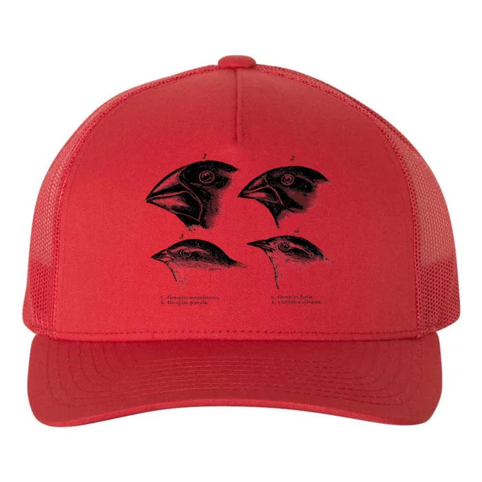 DarwinS Finches Illustration Evolution Atheist Yupoong Adult 5-Panel Trucker Hat